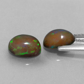 Pedras preciosas de opala chocolate multicolorido natural de  ct, corte oval, translúcido