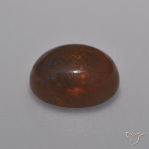 Opala de Chocolate Multicolorido Natural 1.01ct, oval, Translúcido