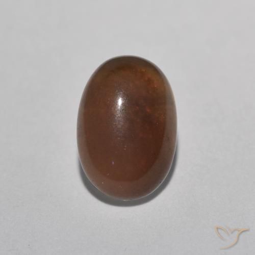 0.49ct Natural Multicolorido Opala de Chocolate, oval, Translúcido