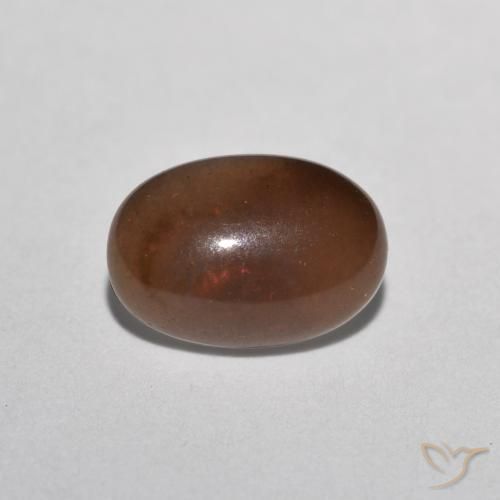 Opala de Chocolate Multicolorido Natural 0.49ct, oval, Translúcido