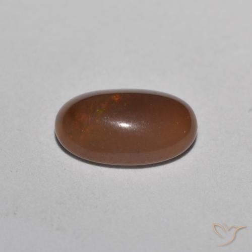Opala de Chocolate Multicolorido Natural 0.49ct, oval, Translúcido