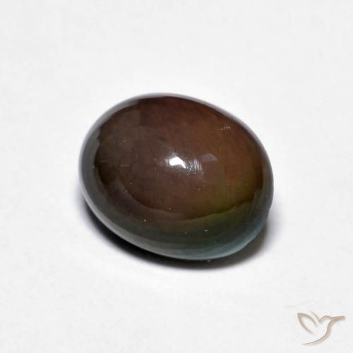 Opala de Chocolate Chocolate marrom Natural 1.28ct, oval, Opaco