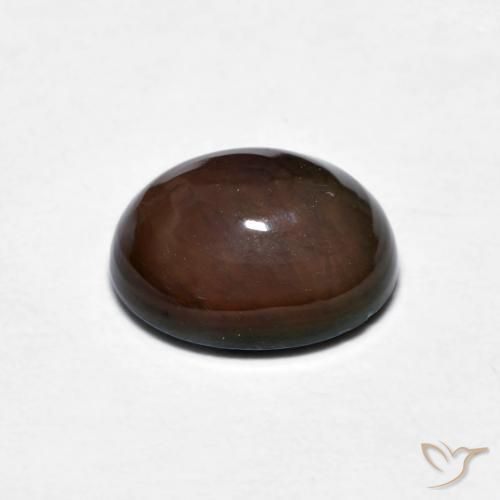 Opala de Chocolate Chocolate marrom Natural 1.28ct, oval, Opaco