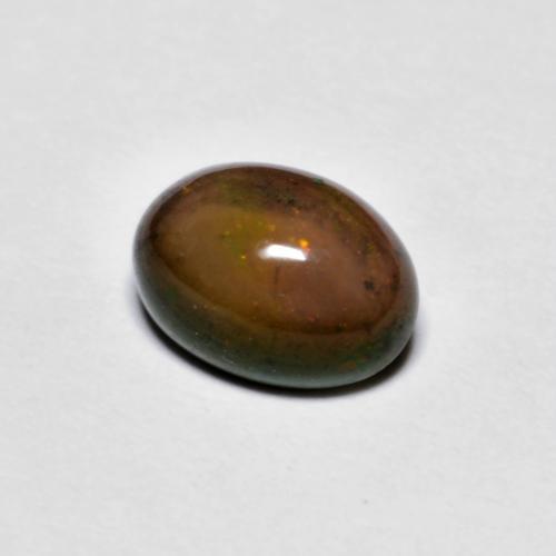 Opala de Chocolate Hickory Brown Natural 0.73ct, Corte Oval, Opaco