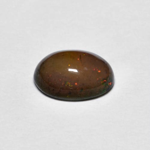 Opala de Chocolate Hickory Brown Natural 0.73ct, Corte Oval, Opaco