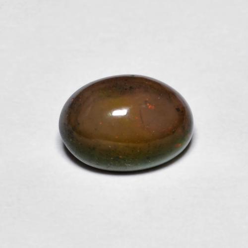 Opala de Chocolate Hickory Brown Natural 0.73ct, Corte Oval, Opaco