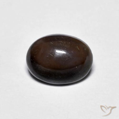 Opala de Chocolate Marrom escuro Natural 0.71ct, oval, Opaco