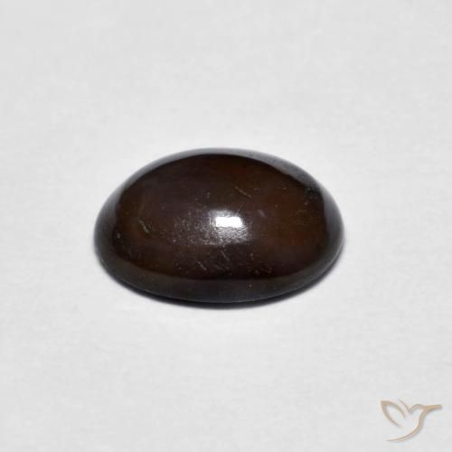 Opala de Chocolate Marrom escuro Natural 0.71ct, oval, Opaco