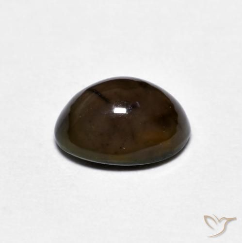 Opala de Chocolate Marrom escuro Natural 0.86ct, oval, Opaco