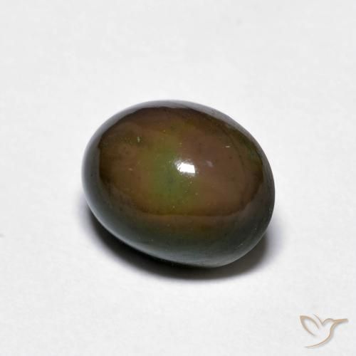 Opala de Chocolate Marrom escuro Natural 1.56ct, oval, Opaco