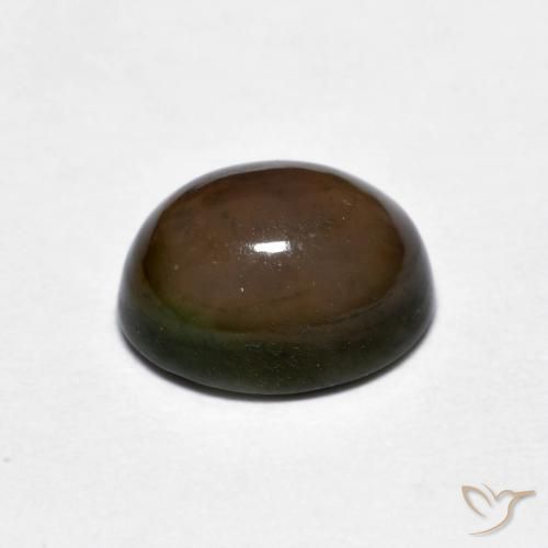 Opala de Chocolate Marrom escuro Natural 1.56ct, oval, Opaco