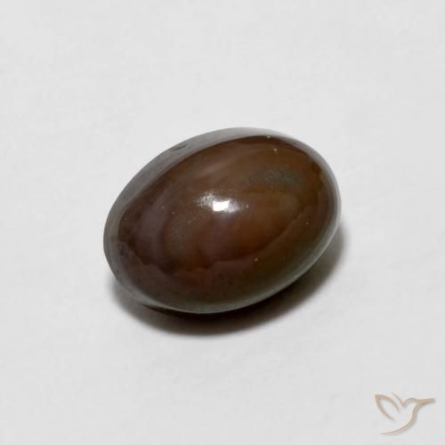 Opala de Chocolate Marrom escuro Natural 0.67ct, oval, Opaco