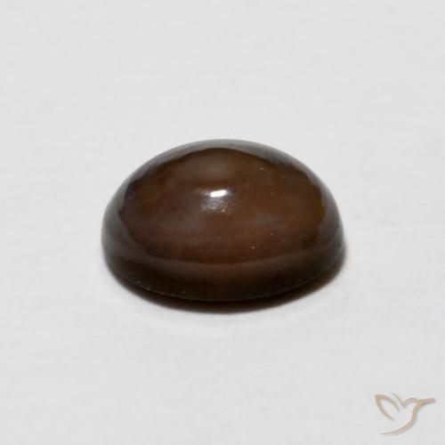 Opala de Chocolate Marrom escuro Natural 0.67ct, oval, Opaco