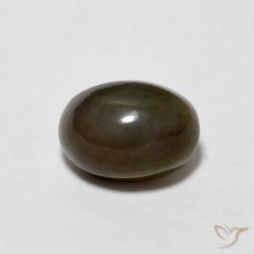 Opala de Chocolate Marrom dourado Natural 0.66ct, oval, Opaco