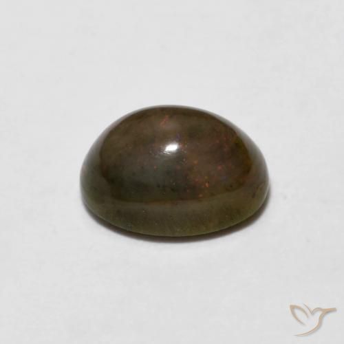 Opala de Chocolate Marrom dourado Natural 0.66ct, oval, Opaco