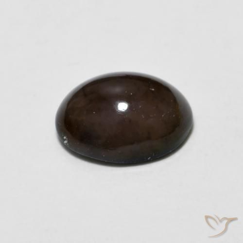 Opala de Chocolate Chocolate marrom Natural 0.78ct, oval, Opaco