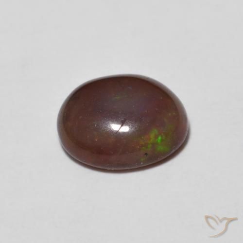 Opala de Chocolate Multicolorido Natural 0.65ct, oval, Translúcido