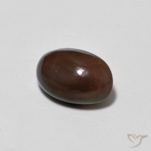 Opala de Chocolate Multicolorido Natural 0.50ct, oval, Translúcido