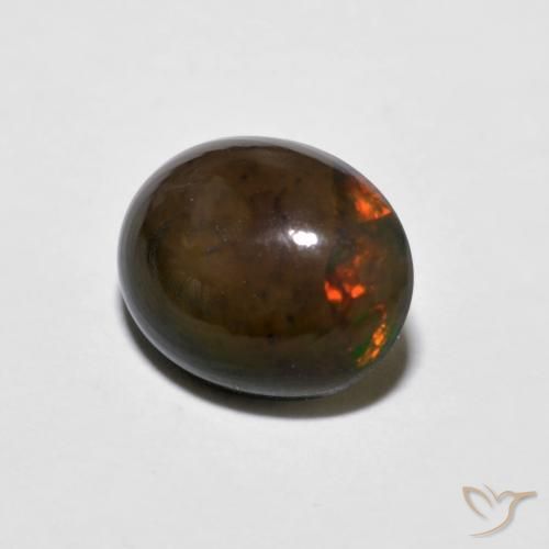 Opala de Chocolate Multicolorido Natural 1.15ct, oval, Opaco