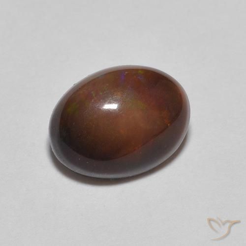 Opala de Chocolate Gingerbread Marrom Natural 0.76ct, oval, Opaco