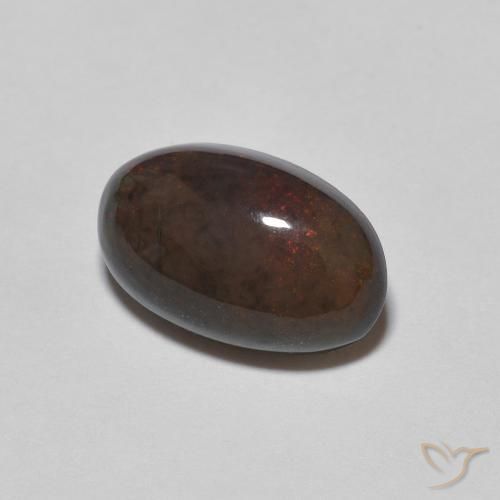 Opala de Chocolate Marrom escuro Natural 1.24ct, oval, Opaco