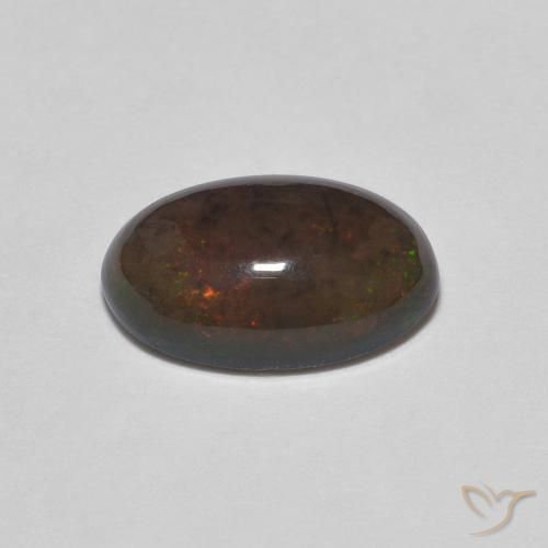 Opala de Chocolate Marrom escuro Natural 1.24ct, oval, Opaco