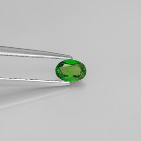 Diopsídio de cromo verde natural 0,28ct, corte oval, VS