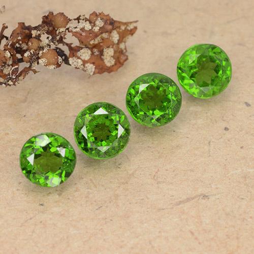 Pedras preciosas de Diopsídio de Cromo Verde médio-escuro natural de 2.54 ct, Corte Redondo, VS