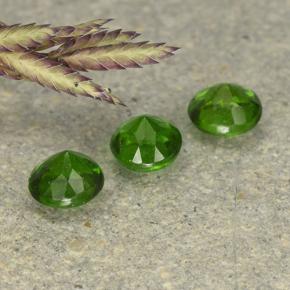 Pedras preciosas de Diopsídio de Cromo Verde natural de 0.63 ct, Corte Redondo, VS