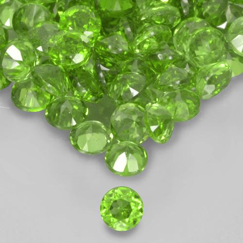 Pedras preciosas de Diopsídio de Cromo verde vivo natural de 2.57 ct, Corte Redondo, VS