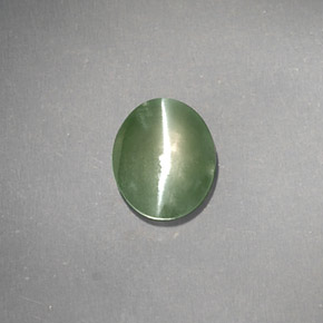 Chrysoberyl cat's eye verde natural 1,03ct, transparente, transparente/translúcido