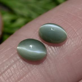 Pedras preciosas de Crisoberilo Olho de Gato Verde natural de 1.12 ct, Corte Oval, Opaco