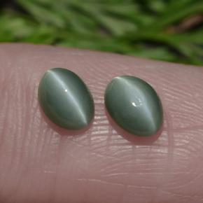 Pedras preciosas de Crisoberilo Olho de Gato Verde natural de 1.12 ct, Corte Oval, Opaco