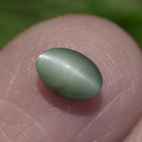 Chrysoberyl cat's eye verde natural 0,86ct, corte oval, opaco