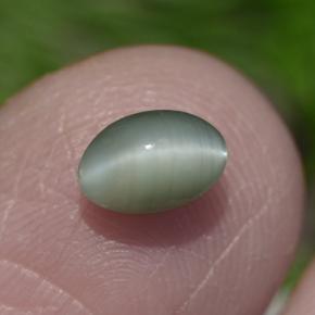 Chrysoberyl cat's eye verde natural 0,86ct, corte oval, opaco
