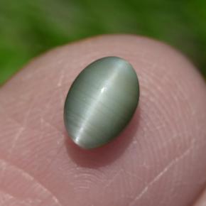 Chrysoberyl cat's eye verde natural 0,86ct, corte oval, opaco