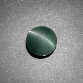 Chrysoberyl cat's eye verde natural 1,08ct, corte redondo, opaco
