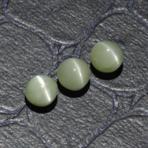 Pedras preciosas de Crisoberilo Olho de Gato Verde amarelado natural de 1.61 ct, Corte Redondo, Translúcido