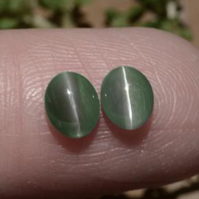 Pedras preciosas de chrysoberyl cat's eye verde natural de 1,06 ct, corte oval, translúcido