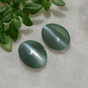 Pedras preciosas de Crisoberilo Olho de Gato Verde natural de 0.99 ct, Corte Oval, Translúcido