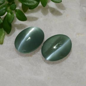 Pedras preciosas de Crisoberilo Olho de Gato Verde natural de 0.99 ct, Corte Oval, Translúcido