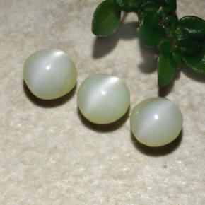 Pedras preciosas de Crisoberilo Olho de Gato Verde natural de 1.31 ct, Redondo, Opaco