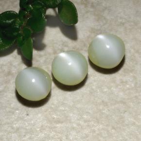 Pedras preciosas de Crisoberilo Olho de Gato Verde natural de 1.31 ct, Redondo, Opaco