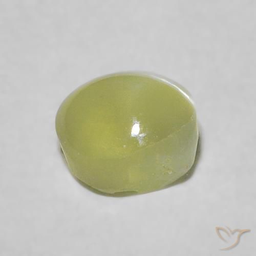 Crisoberilo Olho de Gato Verde amarelado Natural 0.54ct, oval, Transparente