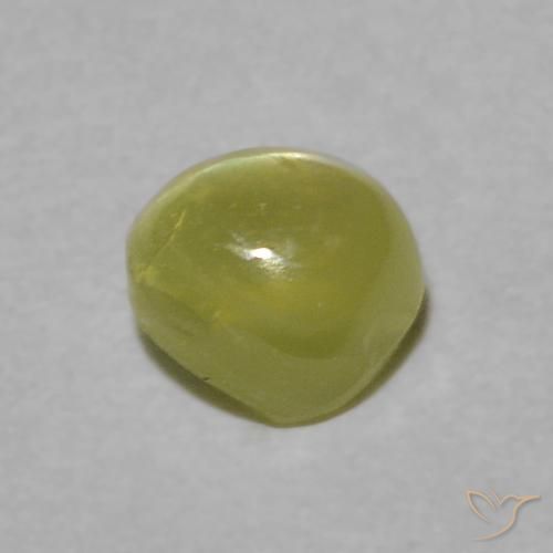 Crisoberilo Olho de Gato Luz verde Natural 0.39ct, Redondo, Transparente