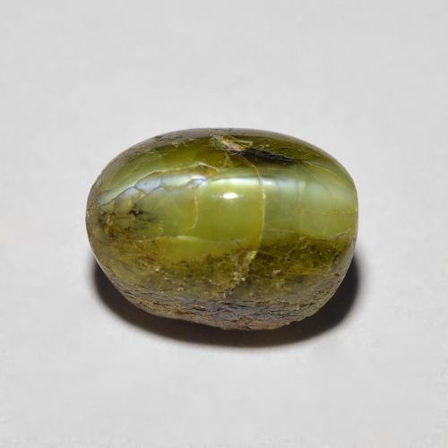 Chrysoberyl cat's eye verde natural 3,69ct, corte oval, opaco