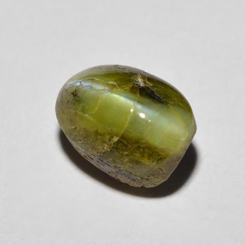 Chrysoberyl cat's eye verde natural 3,69ct, corte oval, opaco
