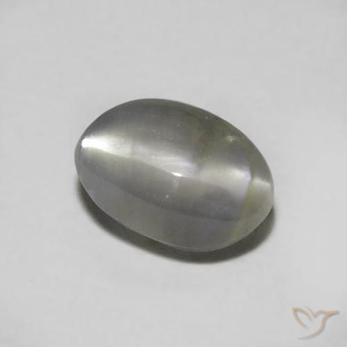 Crisoberilo Olho de Gato Cinza escuro Natural 0.73ct, oval, Translúcido