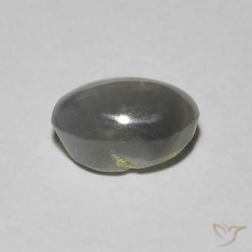 Crisoberilo Olho de Gato Cinza escuro Natural 0.73ct, oval, Translúcido