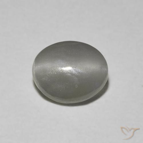 Crisoberilo Olho de Gato Cinza muito claro Natural 0.66ct, oval, Translúcido